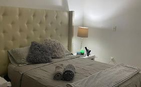 Loft Coyoacan